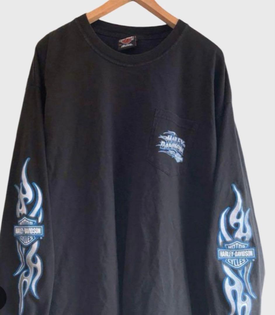 ハーレーダビッドソン ロンT スリーブロゴ ファイヤーパターン