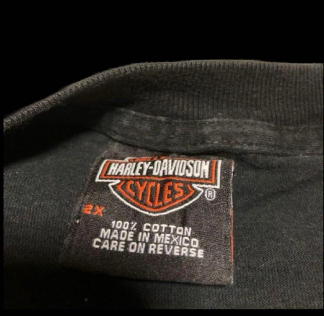 ハーレーダビッドソン ロンT スリーブロゴ ファイヤーパターン