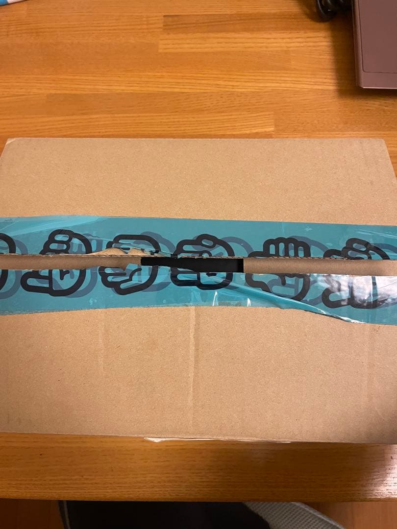 Stray Kids 1ST OFFICIAL FANSHIP KIT 限定