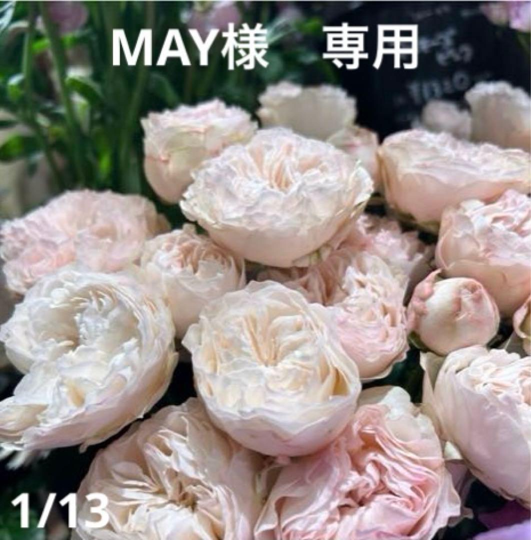 MAY