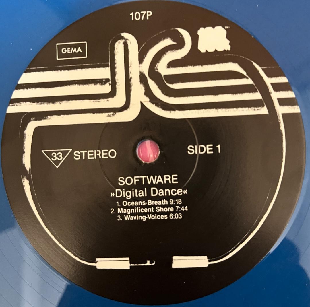 その他 Software Digital Dance LP 107P