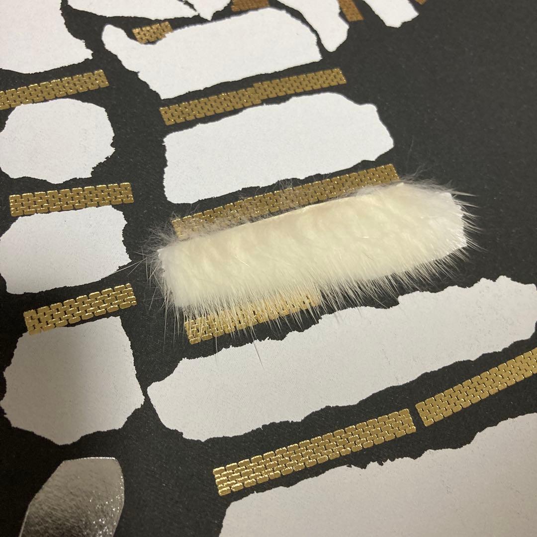 VISIONAIRE 33 ヴィジョネア TOUCH with FENDI