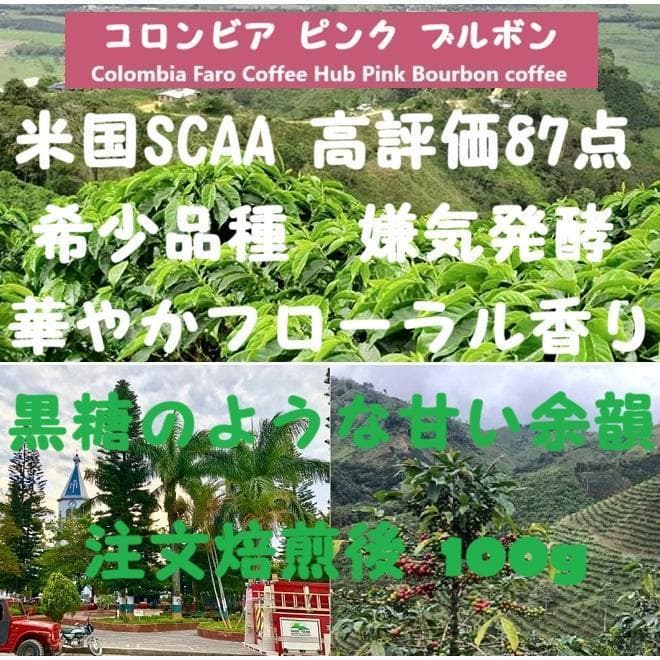 NNKK ブルーマウンテンNo.1　ハワイコナ　ファンシー等　コーヒー豆