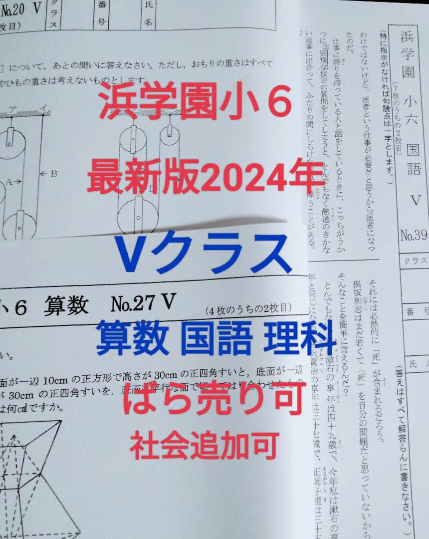 【2024年版】浜学園小6　Ｖクラス　３科目１年分　復習テスト