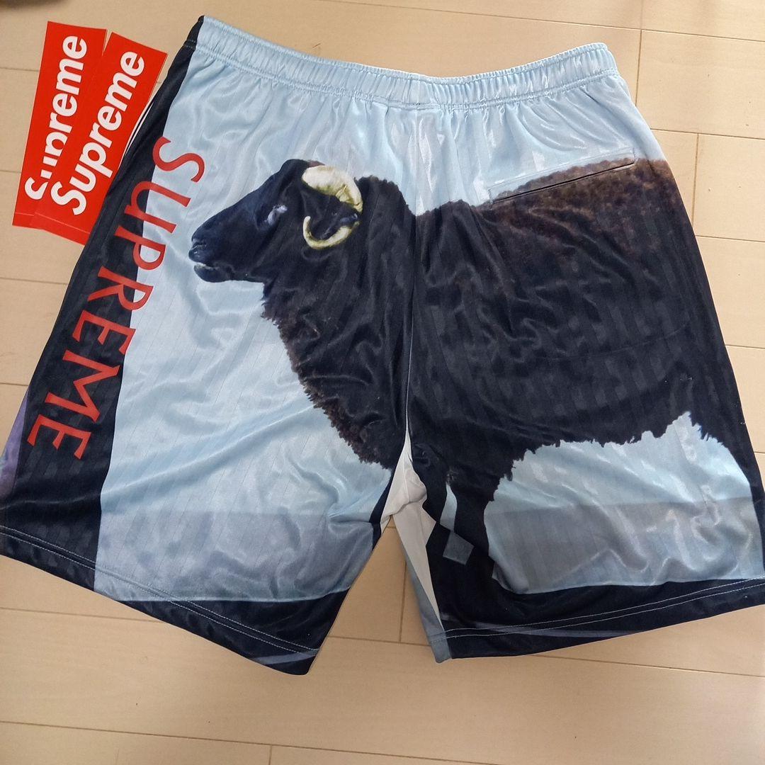 Supreme シュプリーム Medium Damien Hirst