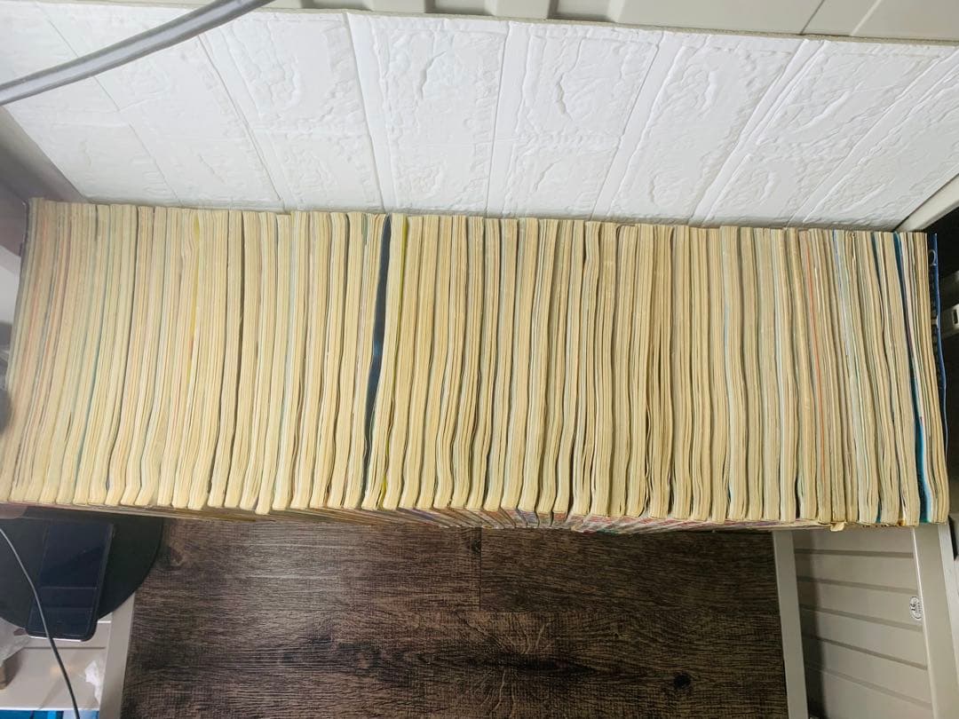 最終値下 アニメージュ 1980年～1983年 4年分 48冊セット＋7冊おまけ