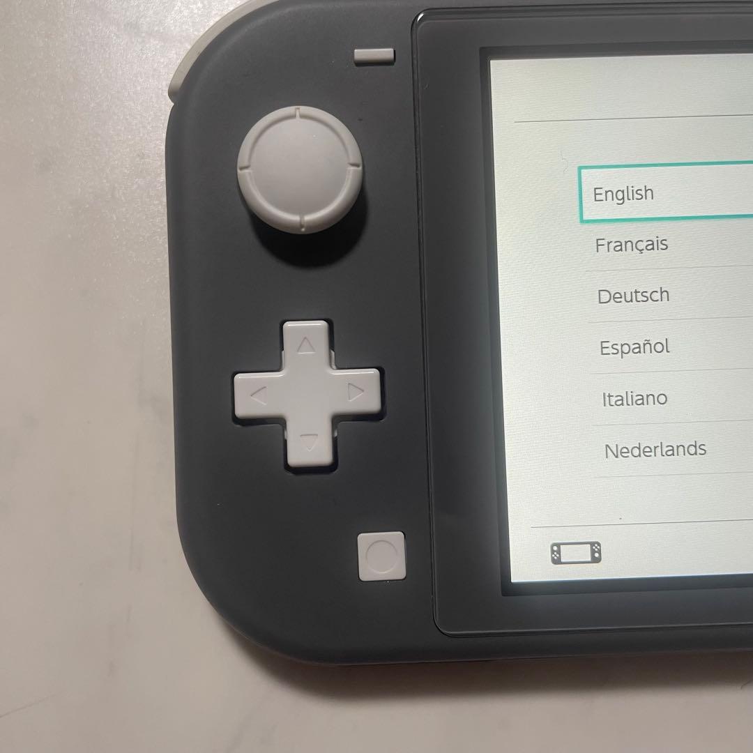 Nintendo Switch Lite グレー、他周辺ケース2点、充電器は無し