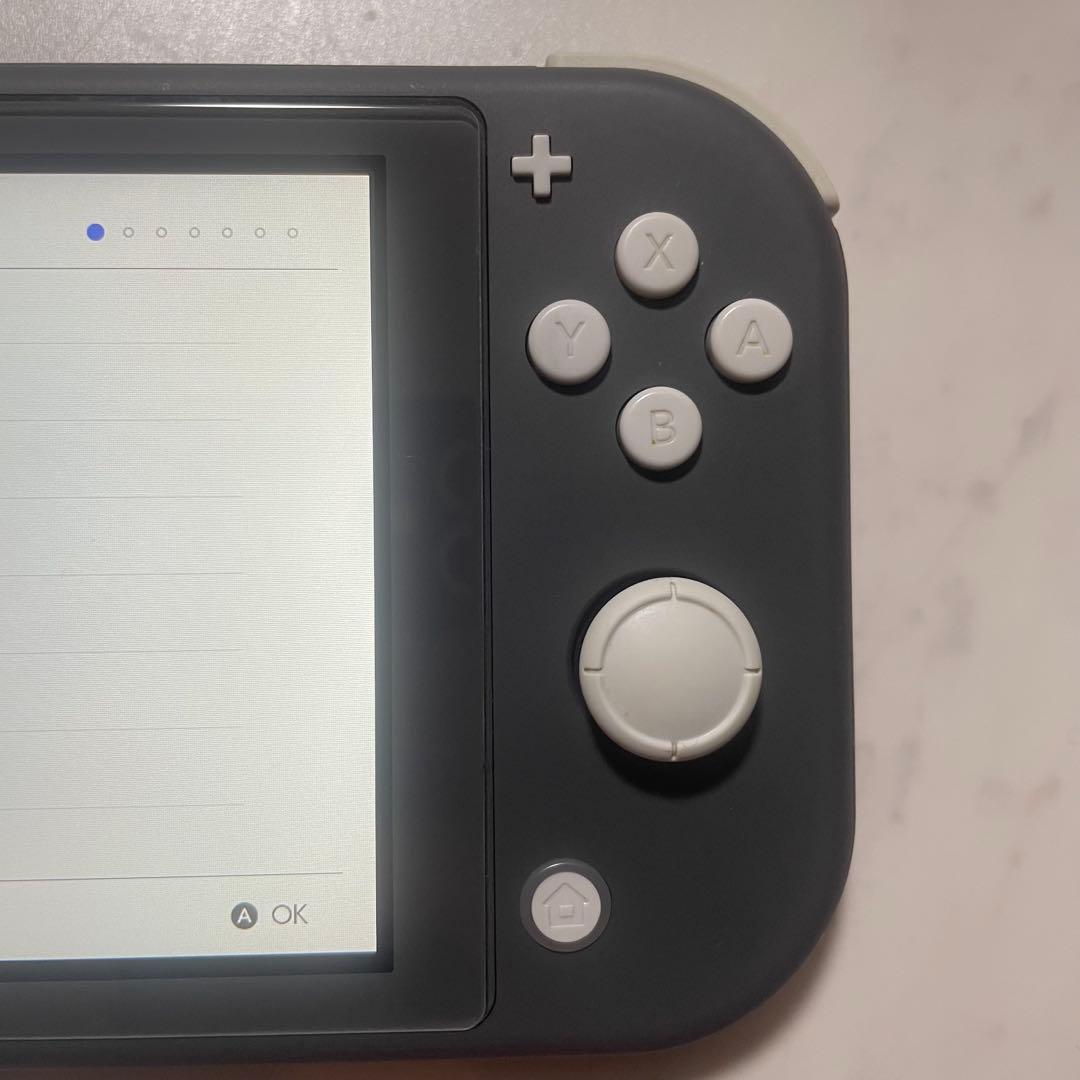 Nintendo Switch Lite グレー、他周辺ケース2点、充電器は無し