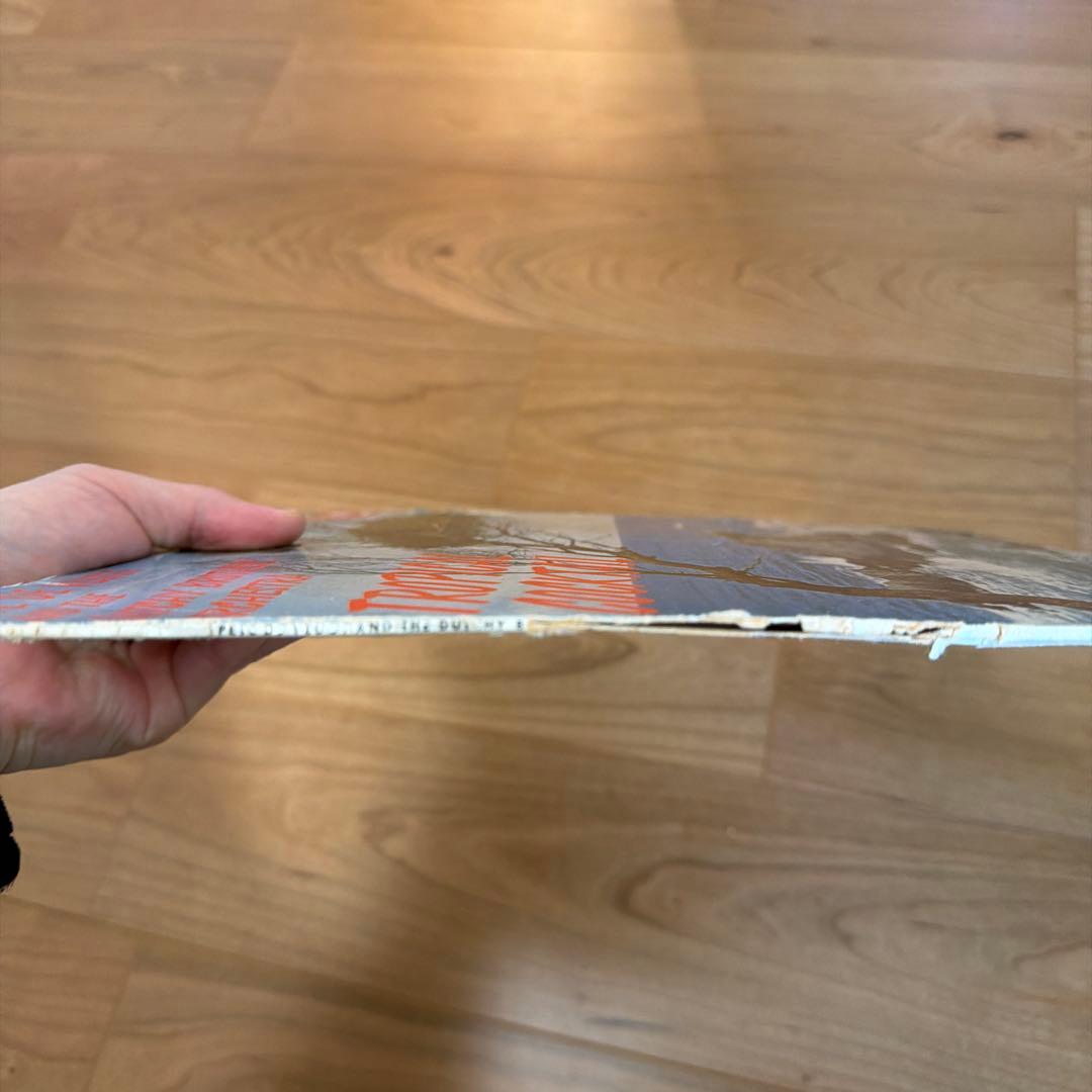 【レア】The Dutchy Brothers Orchestra