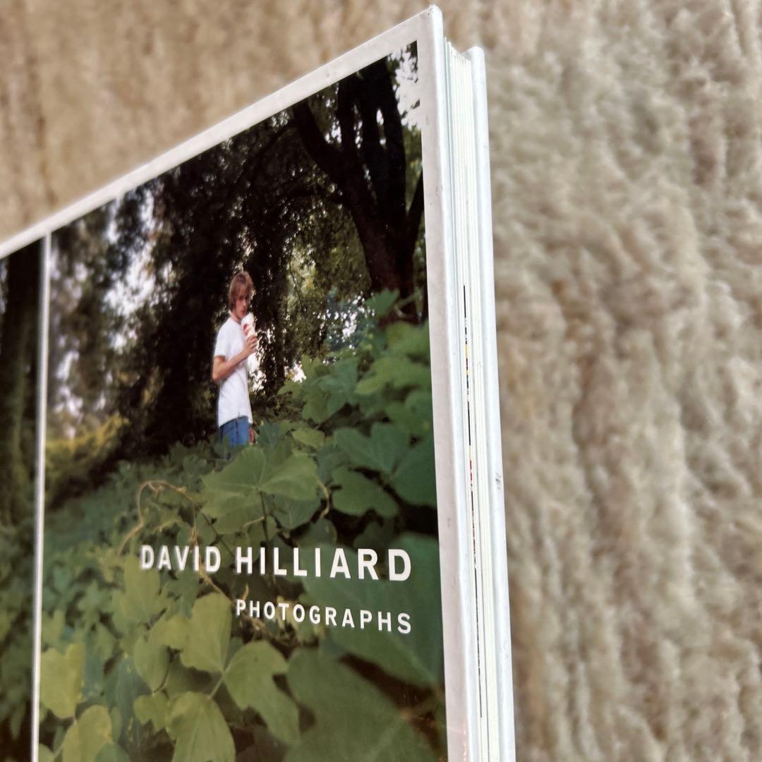 アート・デザイン・音楽 David Hilliard Photographs