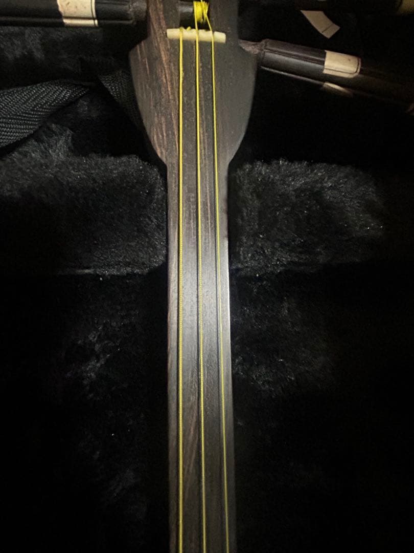 蛇皮 奄美三味線｜奄美大島 福盛堂購入　黒檀｜蛇皮胴巻き｜調整済｜ハードケース付