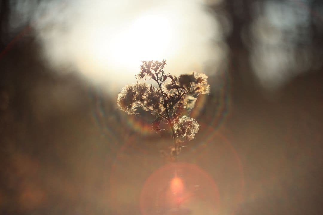 MC HELIOS-44M-6 58mm F2 《Valdai製》【美品】