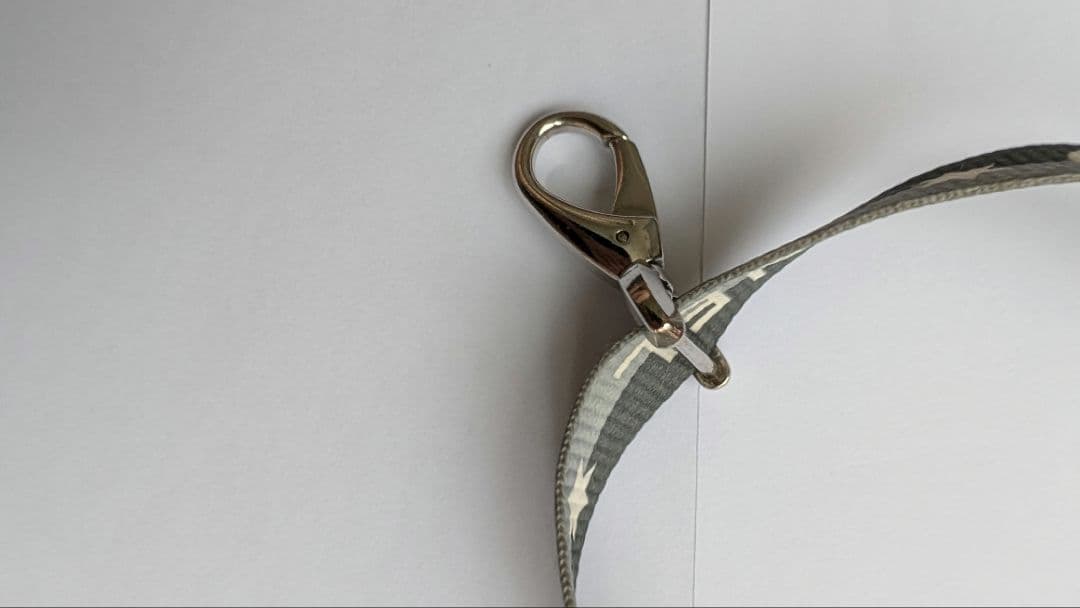 限定セール【 CHANEL 】01P シャネル ロゴ ネックストラップ