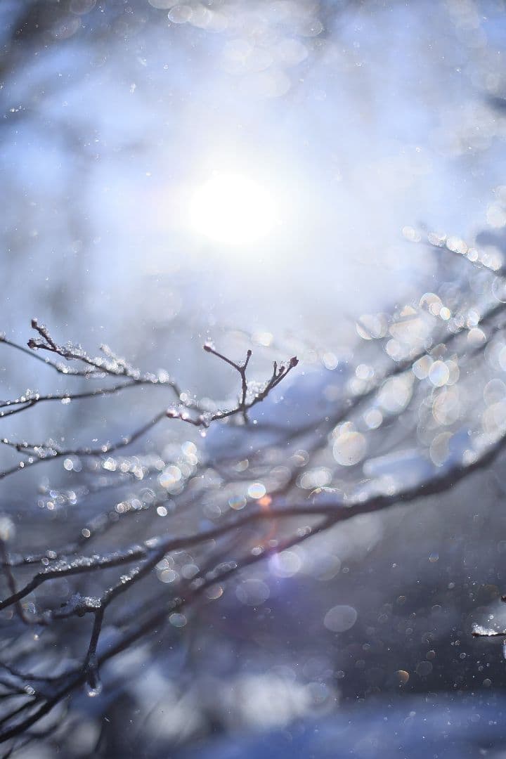 RICOH XR RIKENON 50mm F2 第一世代 【美品】