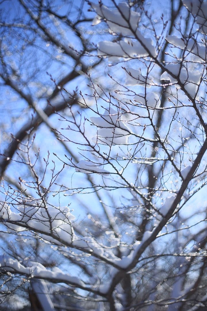 RICOH XR RIKENON 50mm F2 第一世代 【美品】