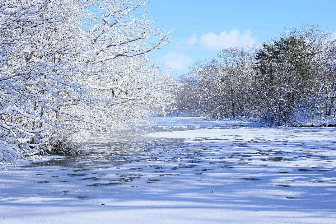 RICOH XR RIKENON 50mm F2 第一世代 【美品】