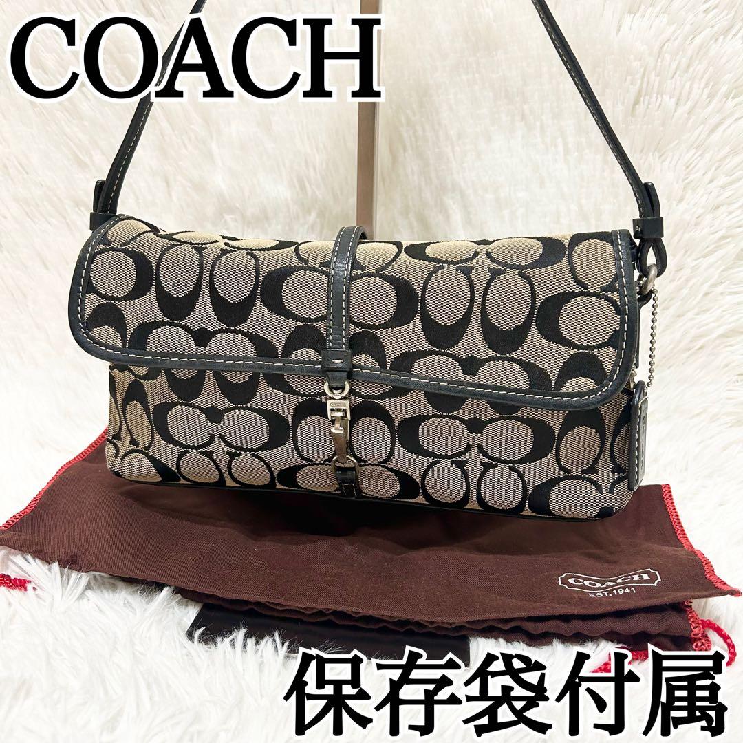 保存袋付属✨COACH アクセサリーポーチ ワンショルダー レザー シグネチャー