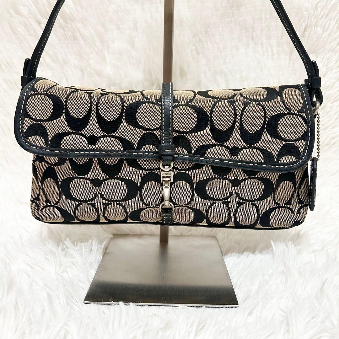 保存袋付属✨COACH アクセサリーポーチ ワンショルダー レザー シグネチャー