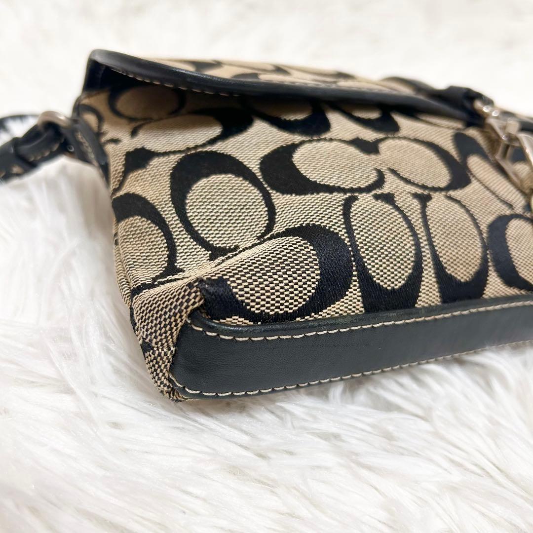 保存袋付属✨COACH アクセサリーポーチ ワンショルダー レザー シグネチャー