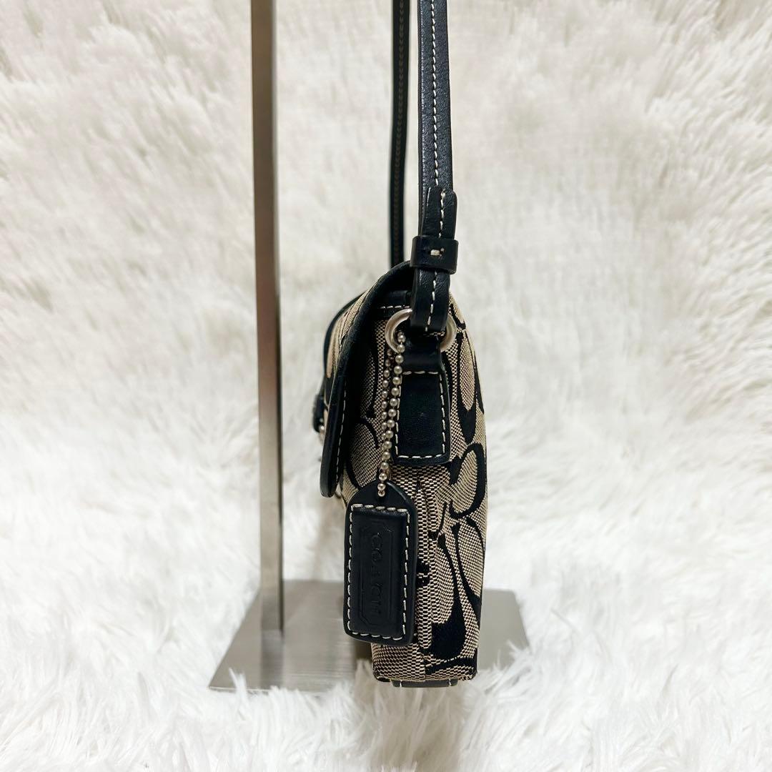 保存袋付属✨COACH アクセサリーポーチ ワンショルダー レザー シグネチャー
