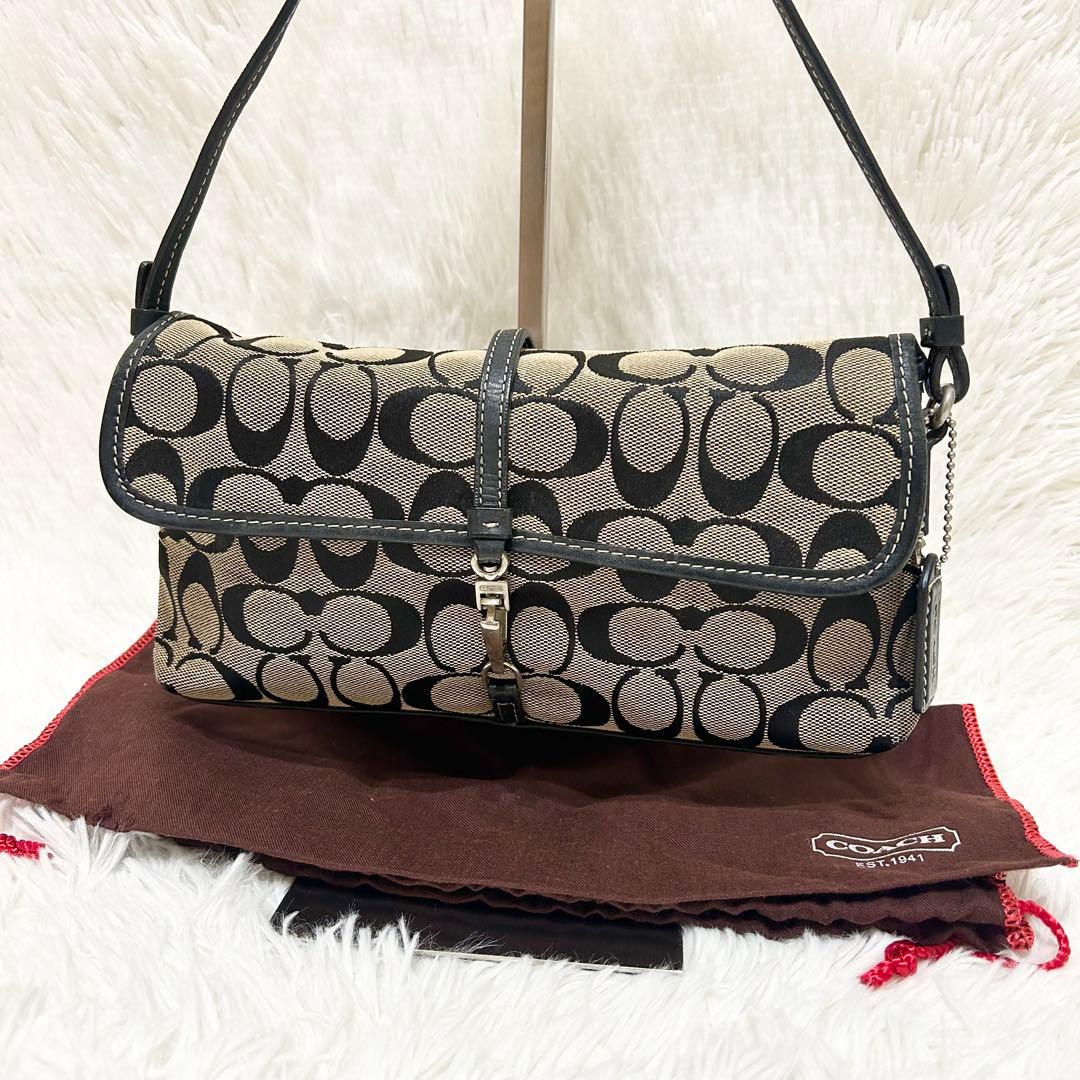 保存袋付属✨COACH アクセサリーポーチ ワンショルダー レザー シグネチャー