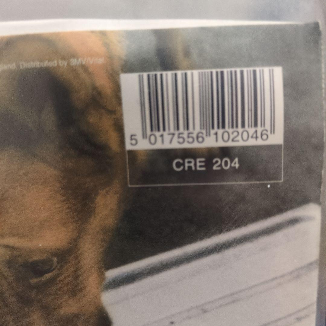 OASIS / SOME MIGHT SAY 7INCH UKオリジナル