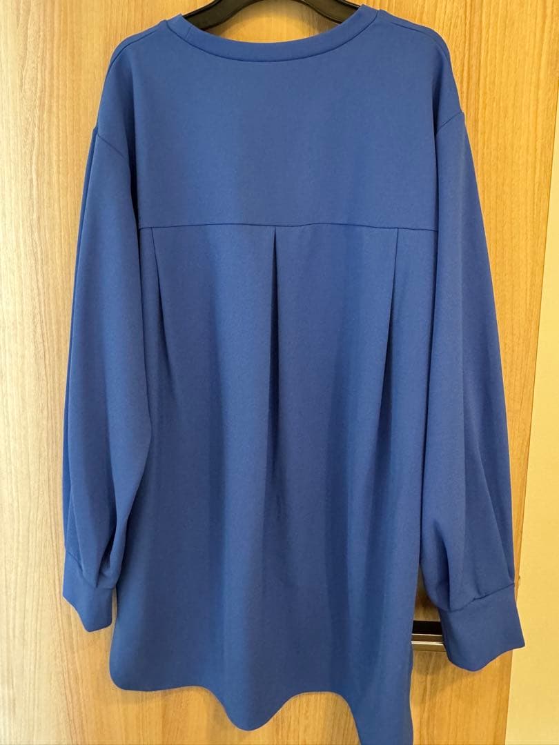 ビアズリー Tブラウス 未使用