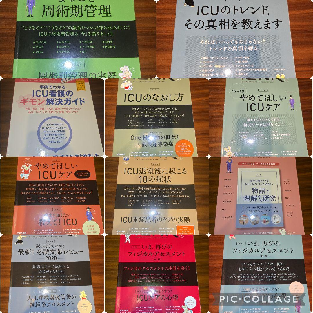 ICNR 11冊セット 卯野木健