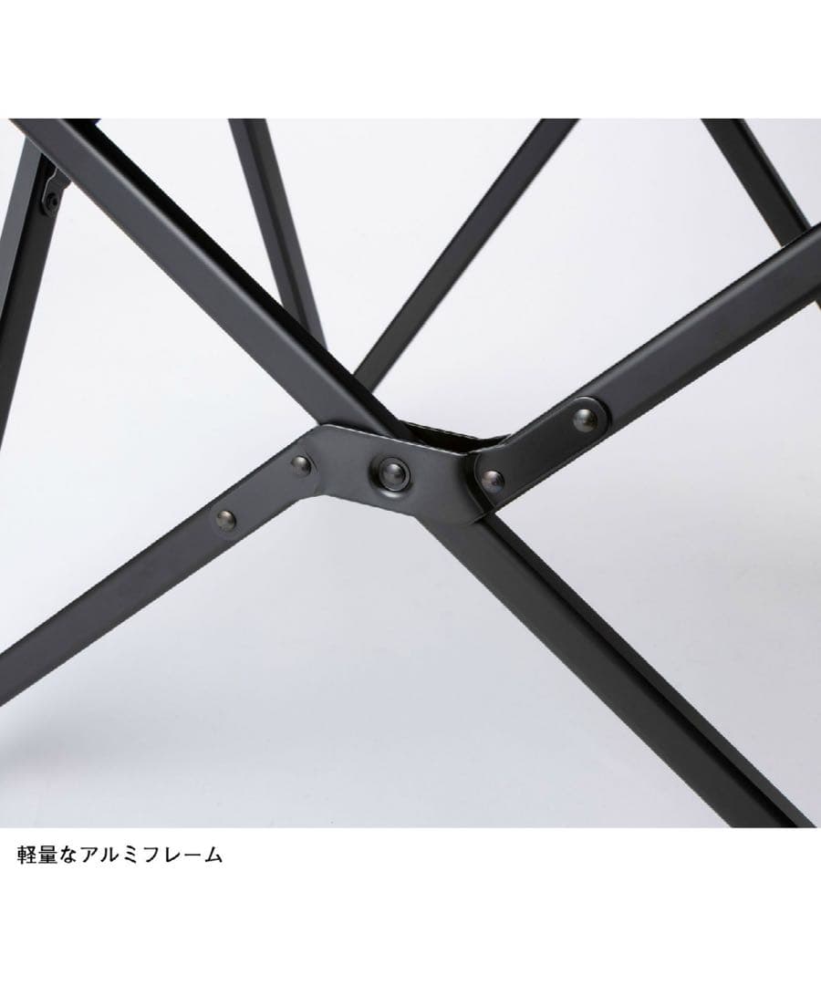 新品THE NORTH FACE （ノースフェイス）キャンプチェアNN32318