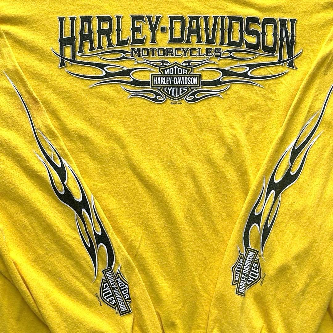 t*t様 Harley-Davidson ロンT XL フレイム柄 レアカラー