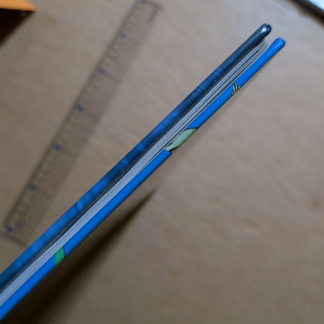 ポケモンをさがせ！ルビーサファイア　絵さがし絵本　クイズ