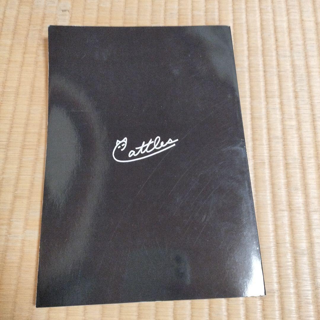 マーケットのニャ術師　投資　キャットルズ vol2