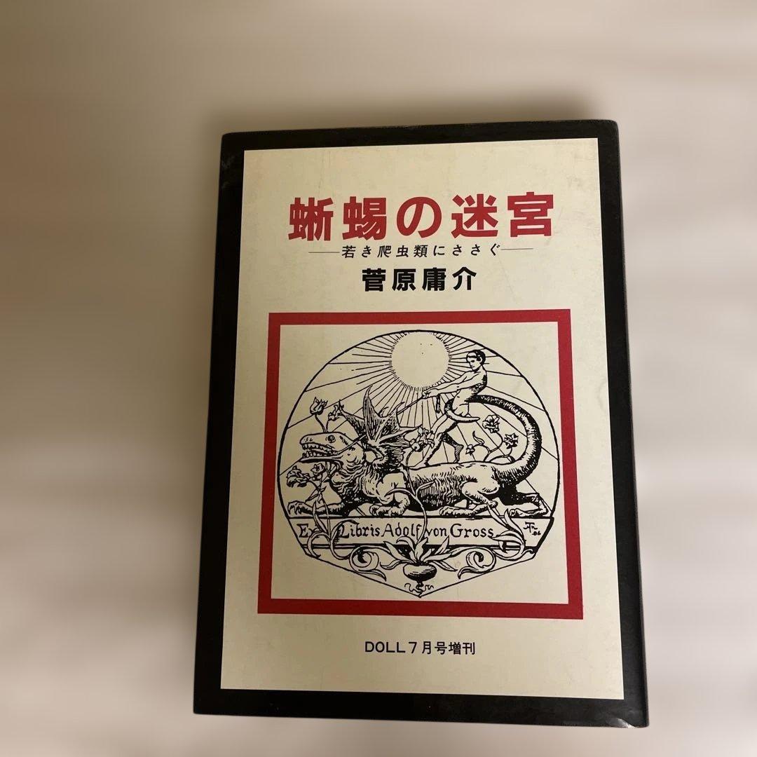 蜥蜴の迷宮　菅原庸介　DOLL出版