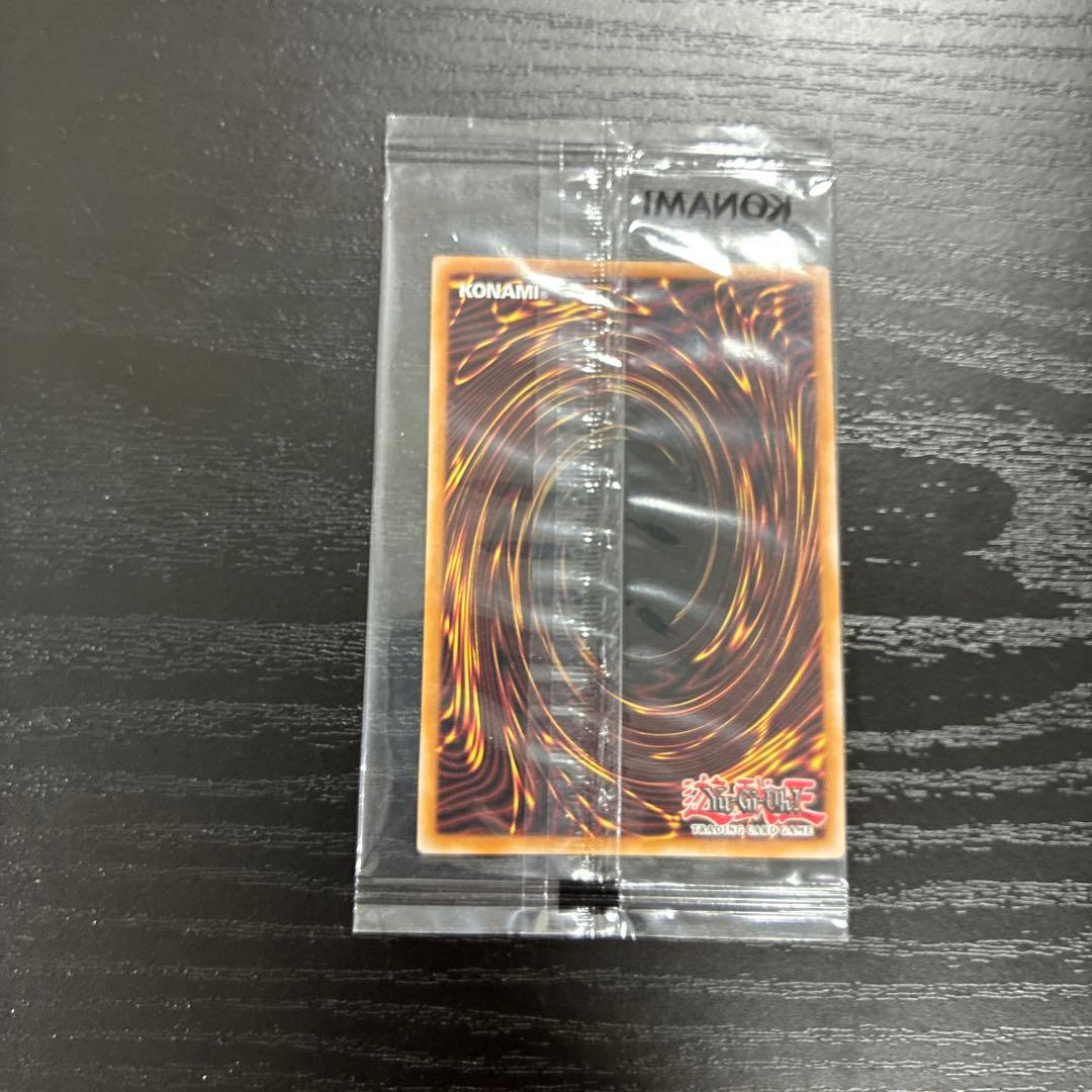 遊戯王　真紅眼の黒竜　RedEyesBlackDragon シークレットレア1枚