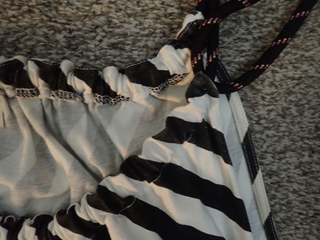 ドリスヴァンノッテン_ワンピース