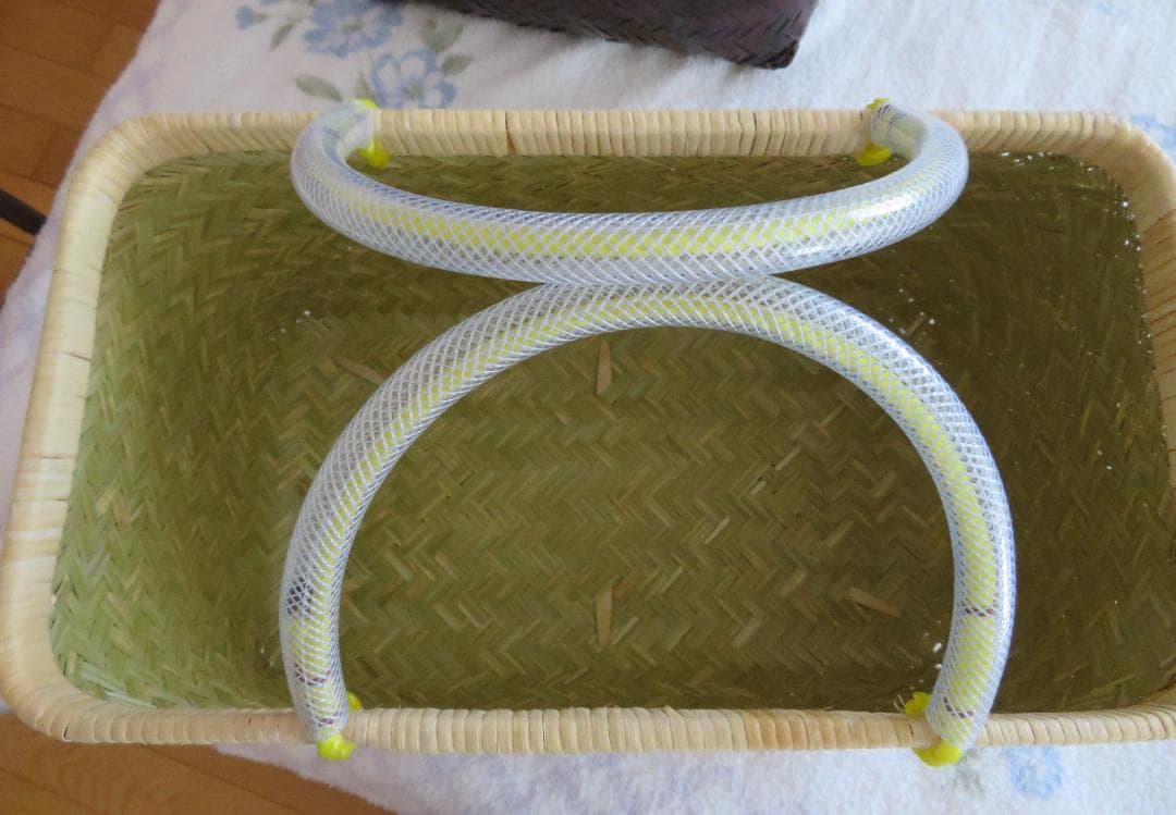新品　未使用　青竹 市場かご 大 ビニール取っ手で痛くない