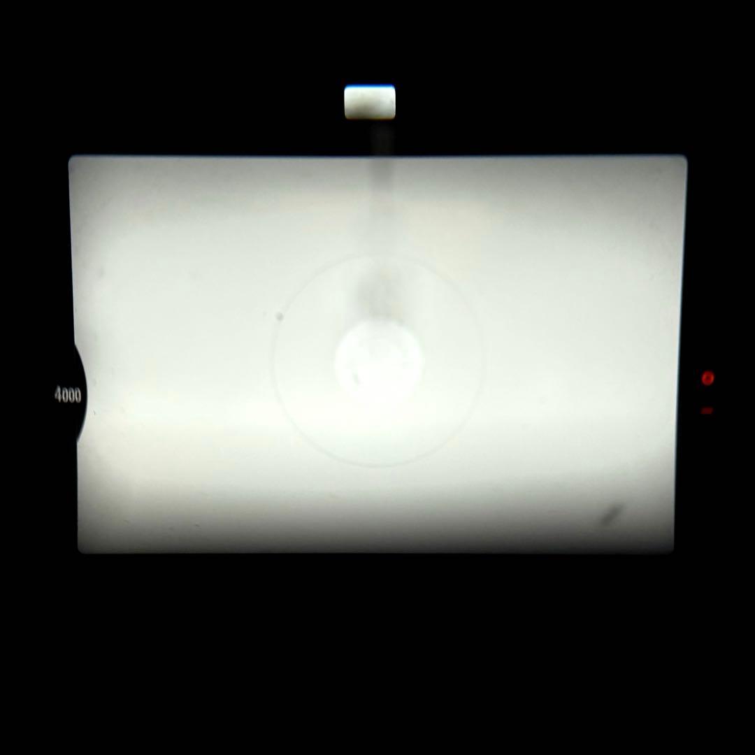 ABランク Nikon New FM2 50mm 標準レンズセット 1ヶ月保証付