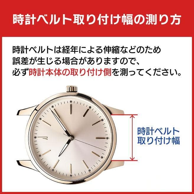 ★CASSISアリゲーター時計ベルト★クリッカー/ブラック/18mm★ばね棒付き