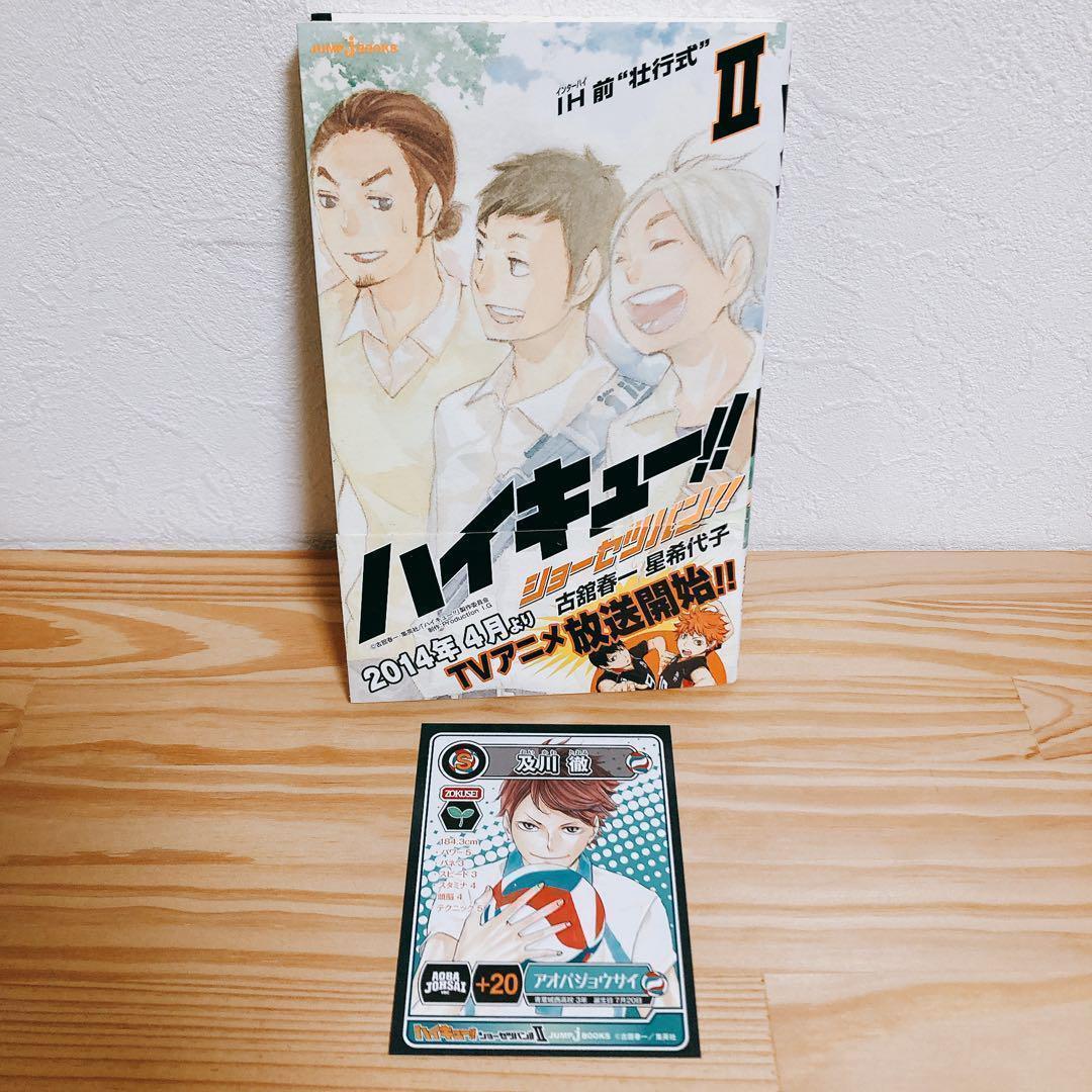 【全巻初版セット】ハイキュー!!ショーセツバン 13巻③＋劇場版総集編4冊