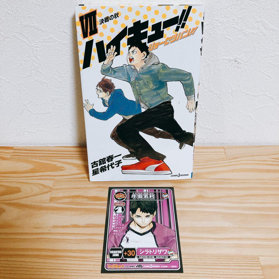 【全巻初版セット】ハイキュー!!ショーセツバン 13巻③＋劇場版総集編4冊