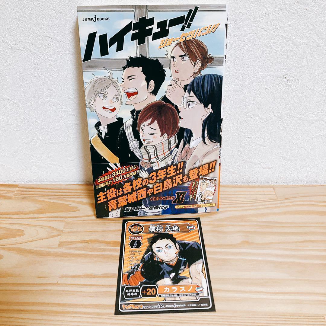 【全巻初版セット】ハイキュー!!ショーセツバン 13巻③＋劇場版総集編4冊