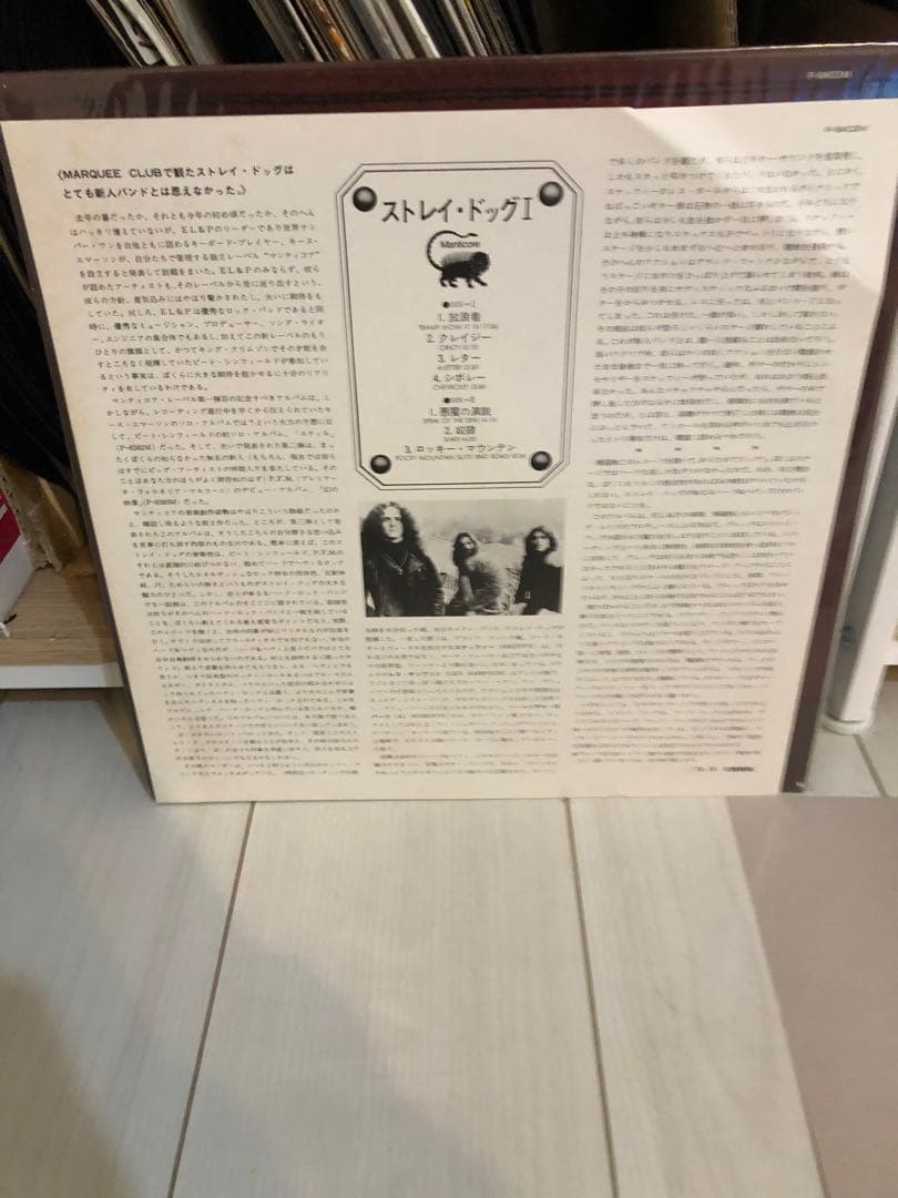 Stray Dog /Greg Lakeプロデュース　LPレコード