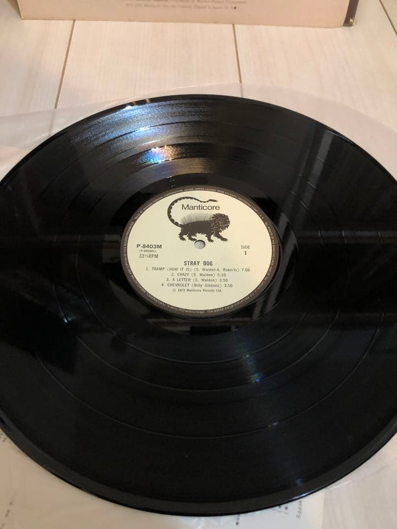Stray Dog /Greg Lakeプロデュース　LPレコード