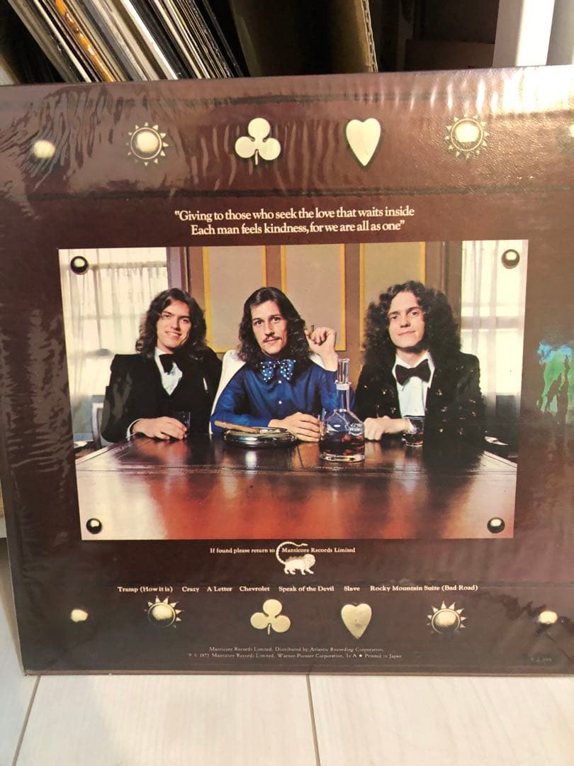 Stray Dog /Greg Lakeプロデュース　LPレコード