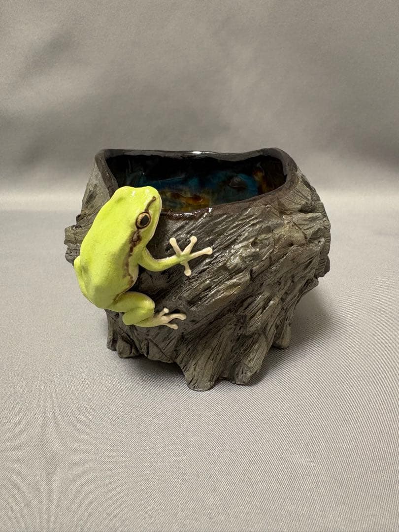 腰越祐貴　樹器とアマガエル