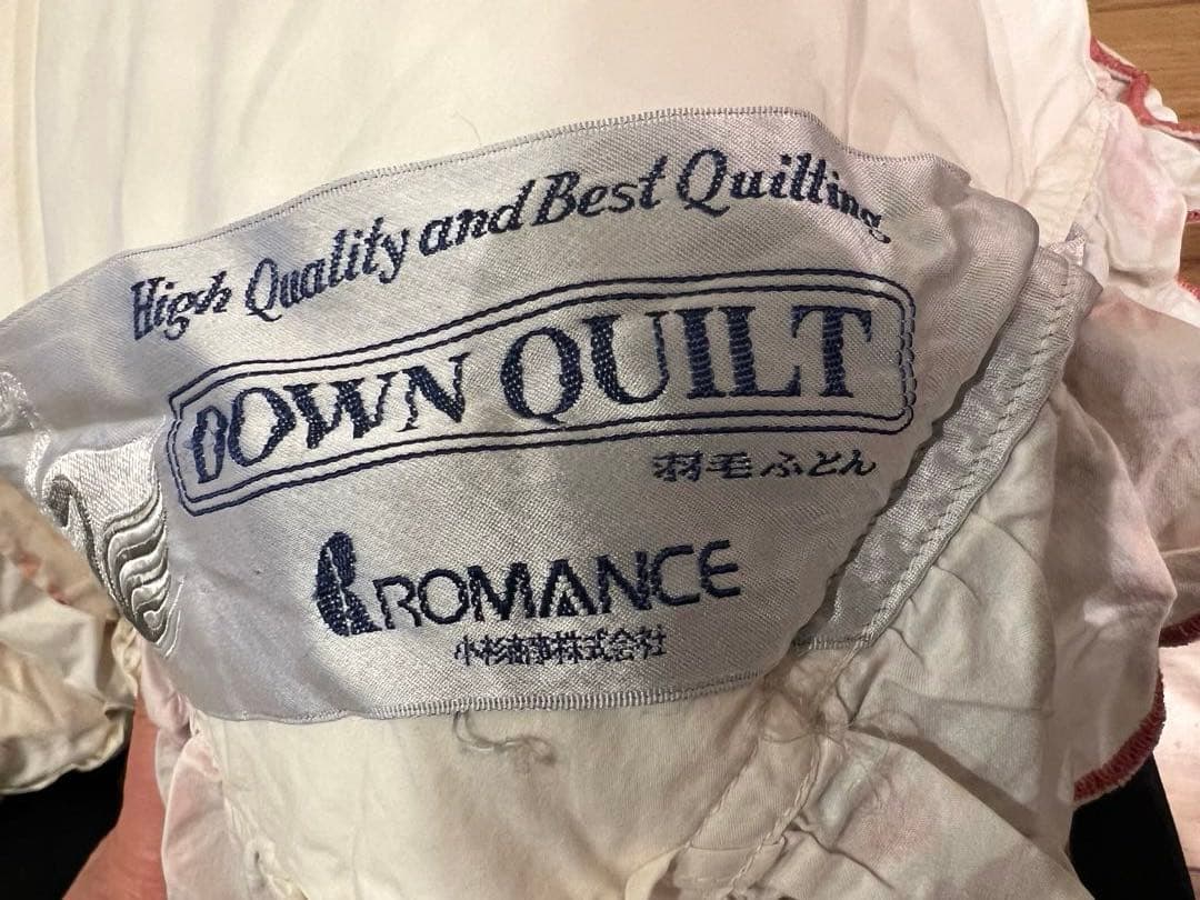 ロマンス小杉　ポーランドグースダウン90% ダブル ふわふわ 超長綿100%