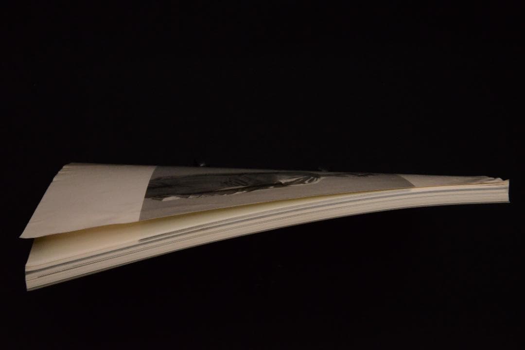 【 Social documentaries amid this pist】