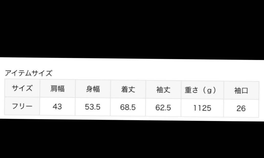 Patagonia パタゴニア KS 4in1 EVERYDAYジャケット 新品