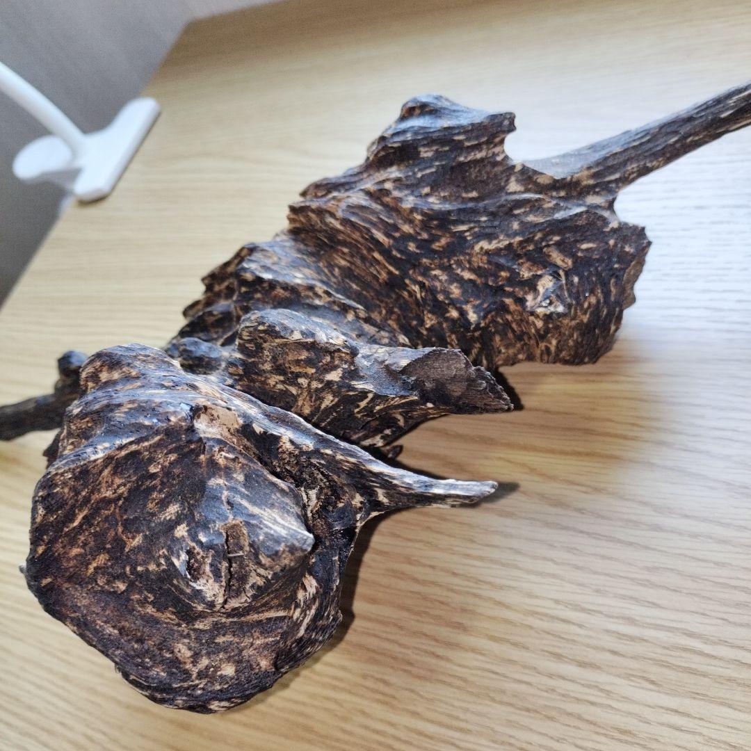 ベトナム産沈香