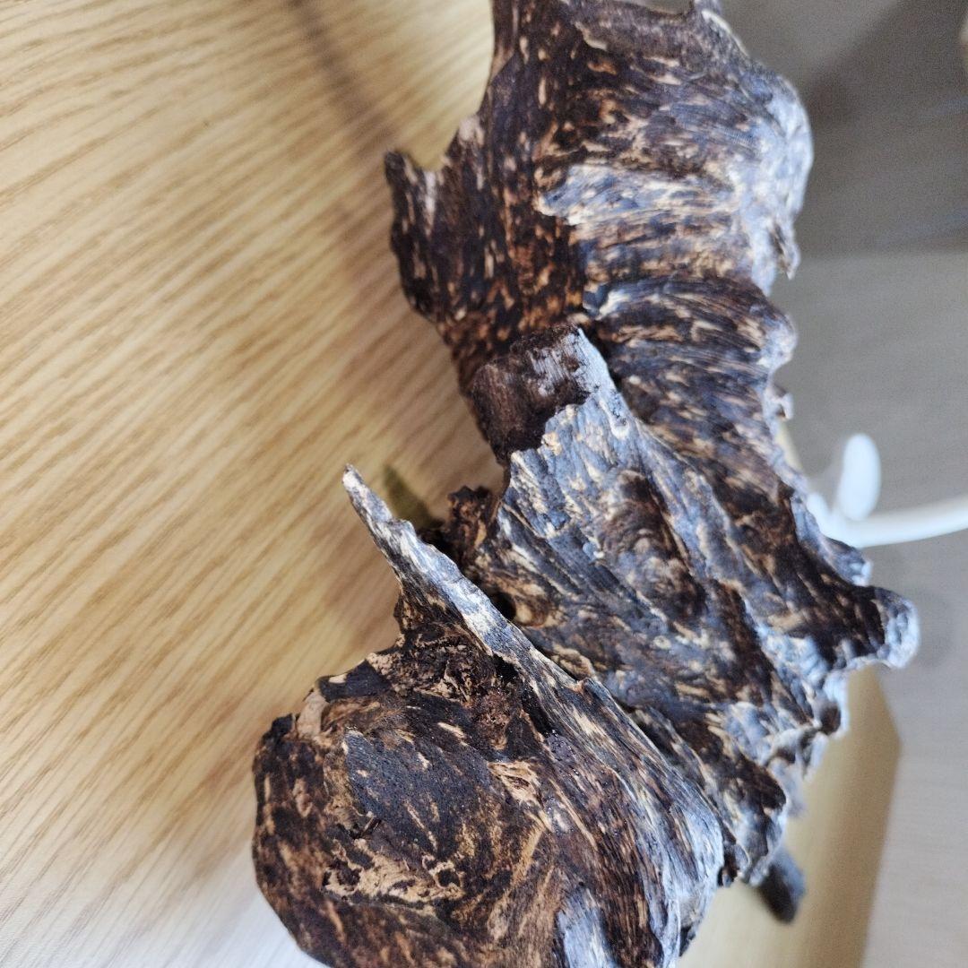 ベトナム産沈香